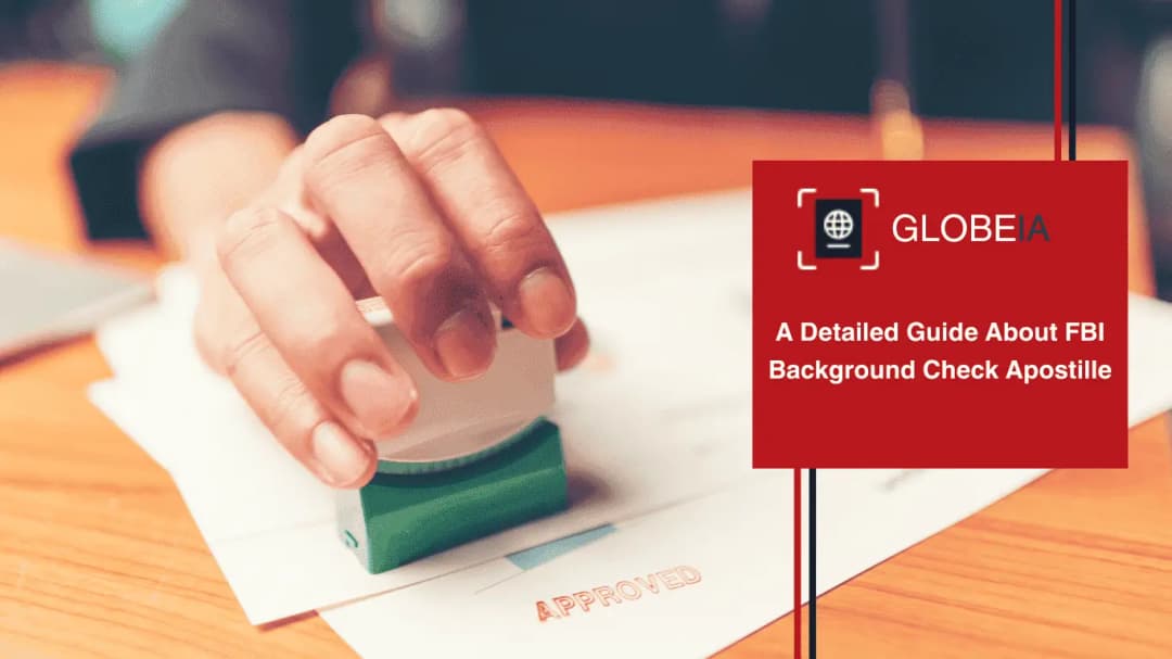 A Detailed Guide About FBI Background Check Apostille