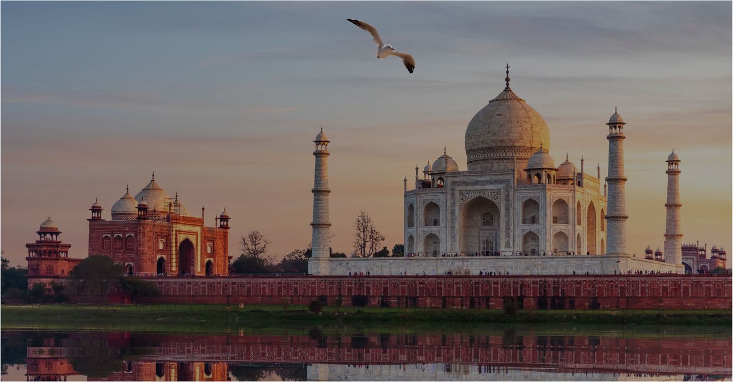 Complete Guide to Fingerprinting in India